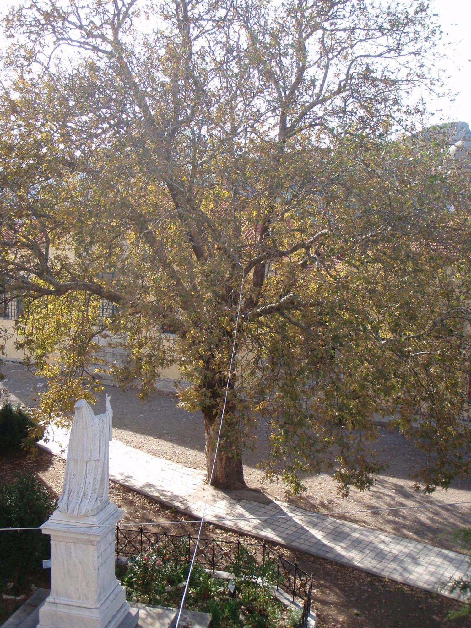 Guesthouse Kazakou Dimitsana Luaran gambar